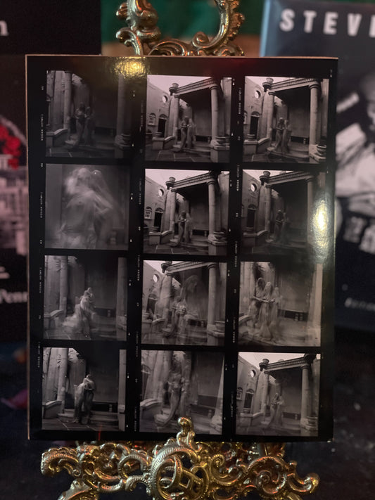 Spring Awakening Contact Sheet 2024