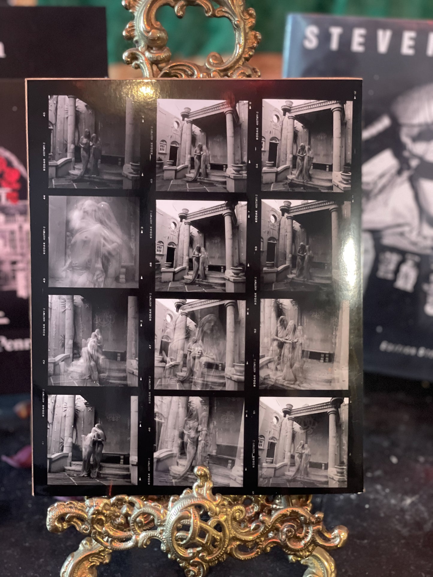 Spring Awakening Contact Sheet 2024