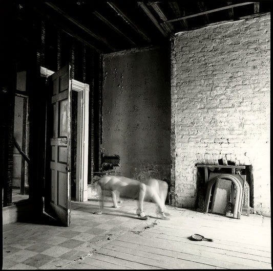 Through the Open Door