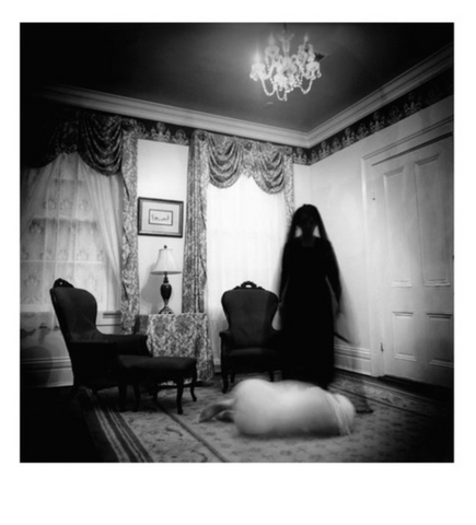 Untitled Louisiana Print