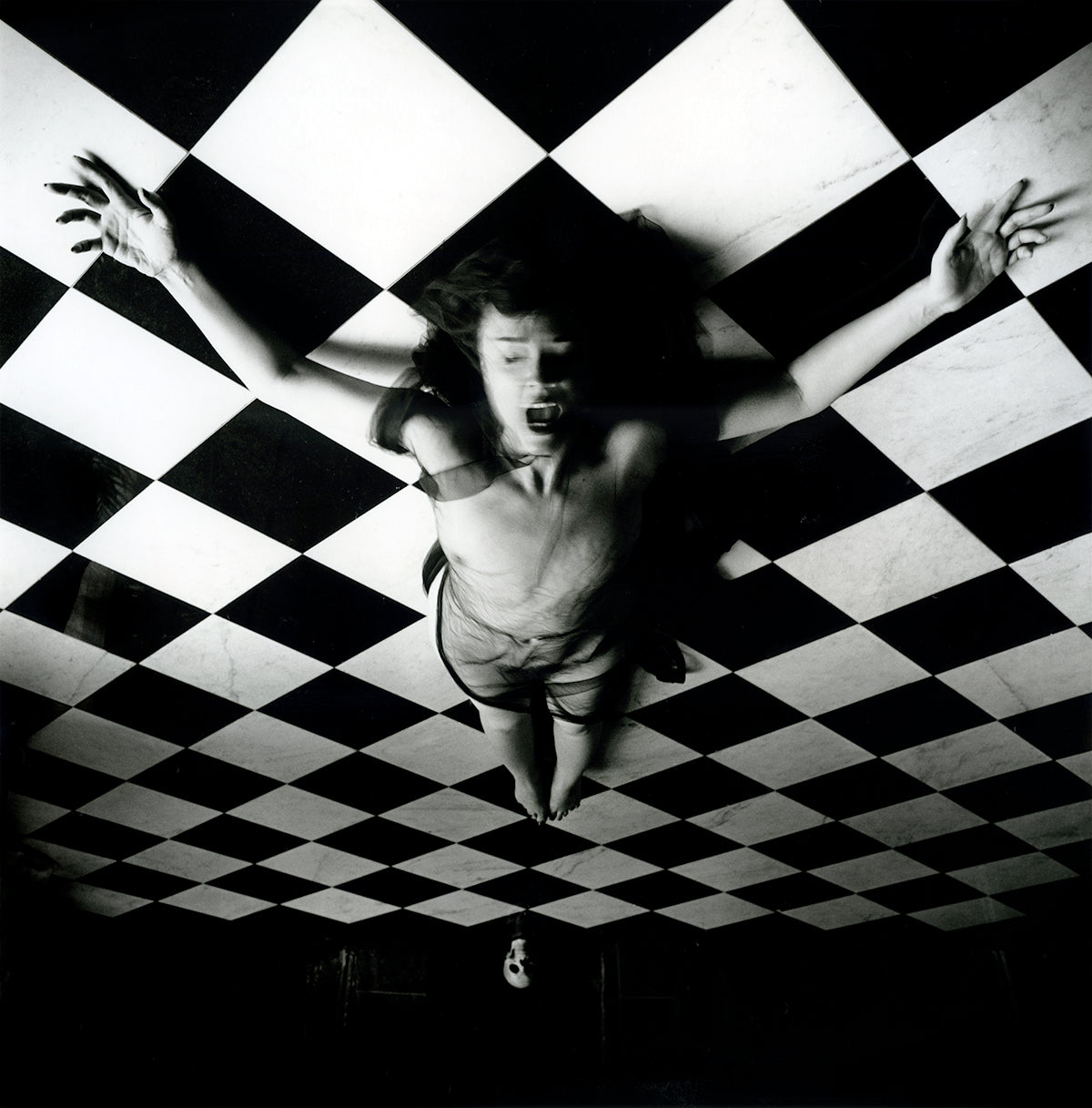 I Offer my Body and Flesh, 2019